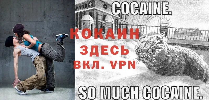 Cocaine Эквадор Луза